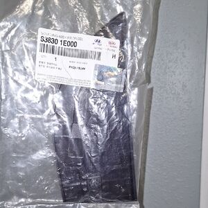 Hyundai Kia Genuine Parts Rear Door Driver Side Moulding